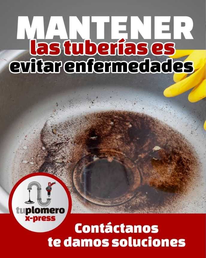 /domains/tuplomeroxpress.com/pictures/68004557924d8.jpeg