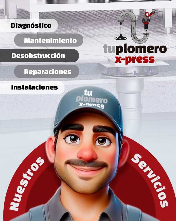 /domains/tuplomeroxpress.com/pictures/680047b6a38fc.jpeg